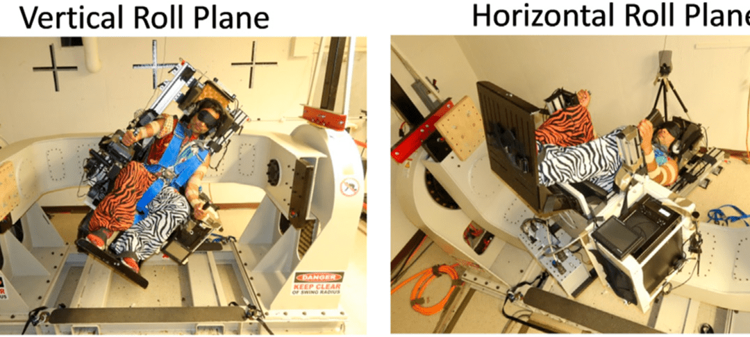 Astronauts Could Wear a Device to Prevent Disorientation in Space