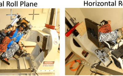 Astronauts Could Wear a Device to Prevent Disorientation in Space