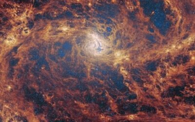 James Webb Space Telescope gazes into a galactic garden of budding stars