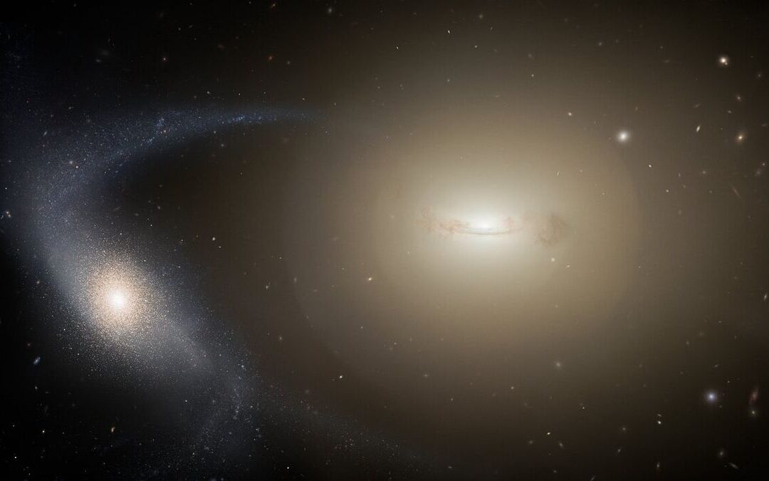 These small galaxies were shredded by their larger siblings — but they survived