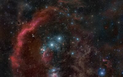 Does Betelgeuse Even Rotate? Maybe Not
