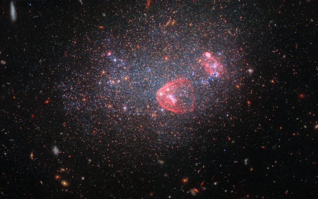 A holiday globe of stars