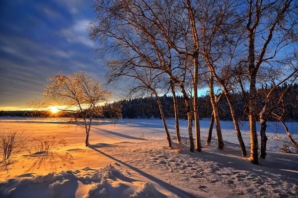 Why the winter solstice is the longest night every year, and when it happens in 2023