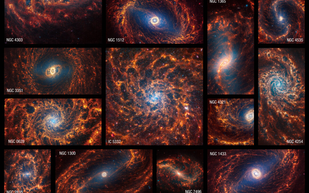 Webb reveals structure in 19 spiral galaxies