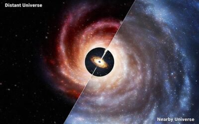 The Early Universe Had Small Galaxies with Oversized Black Holes