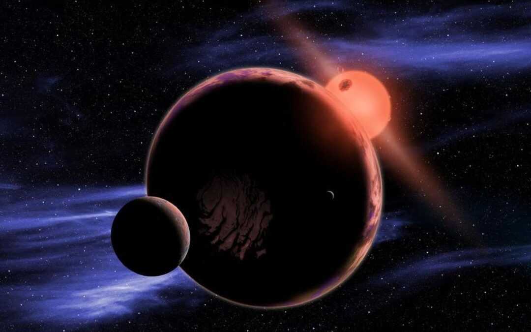 Could Earth Life Survive on a Red Dwarf Planet?