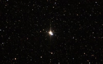 Why are there no green stars?