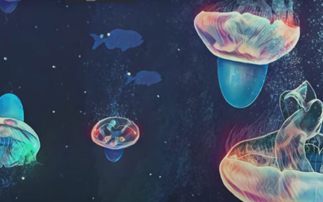 Cyborg Jellyfish Could Help Explore Oceans Autonomously