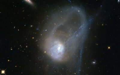 Black Holes Need Refreshing Cold Gas to Keep Growing
