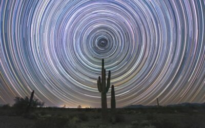 Saguaro sky | Astronomy Magazine