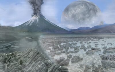 Will We Know if TRAPPIST-1e has Life?