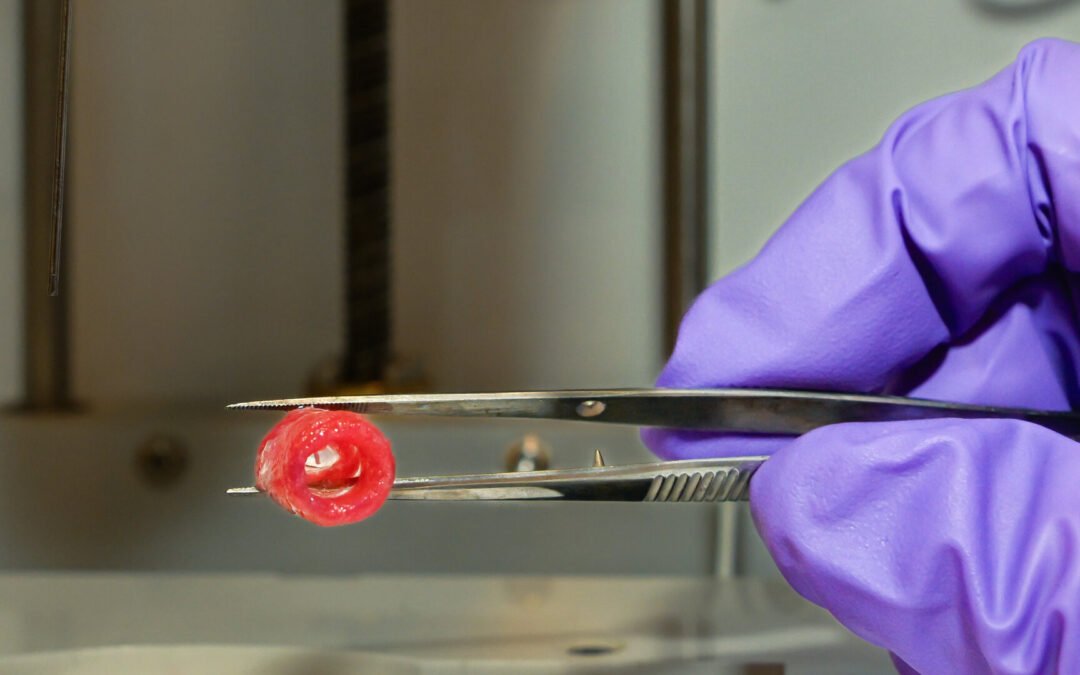 ESA – 3D-bioprinted blood vessel