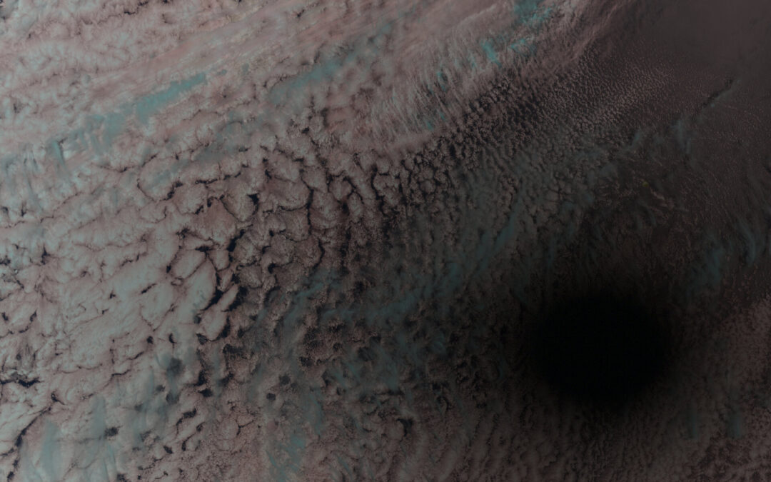 Week in images: 08-12 April 2024