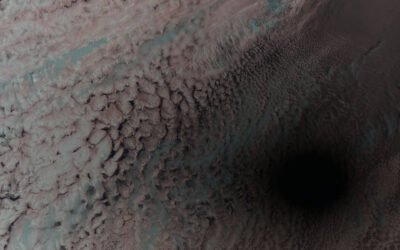 Week in images: 08-12 April 2024