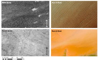 Are Titan’s Dunes Made of Comet Dust?