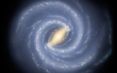 The reasons why numbers go on forever