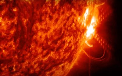 Have we seen the last of the giant flare-launching sunspot AR3664?