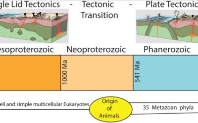 Did Earth’s Multicellular Life Depend on Plate Tectonics?