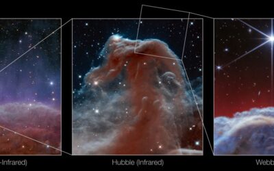 Insanely Detailed Webb Image of the Horsehead Nebula