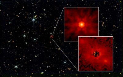 Supermassive Black Holes Got Started From Massive Cosmic Seeds