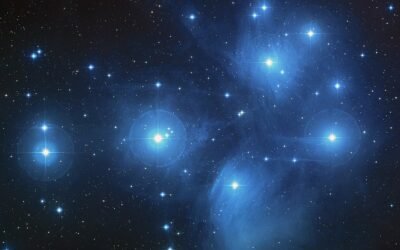The Nearby Star Clusters Come from Only Three Places