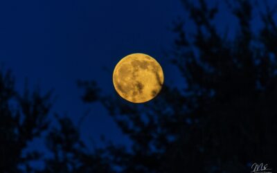 When to see the Full Moon and phases