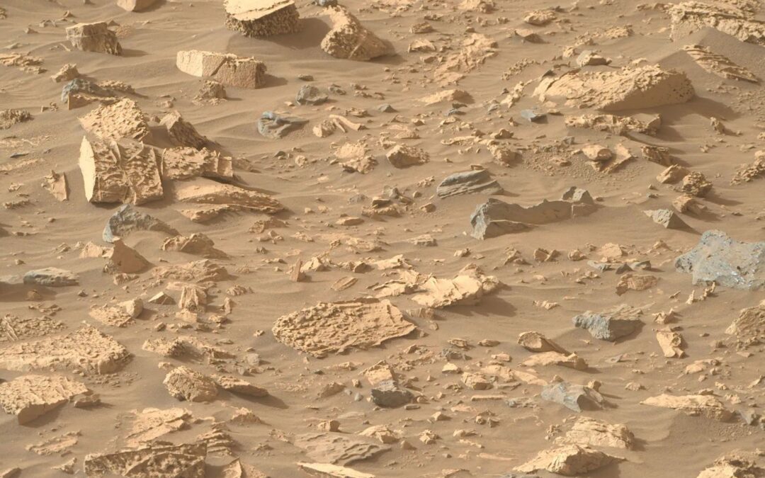 Perseverance Found Some Strange Rocks. What Will They Tell Us?