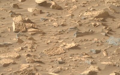 Perseverance Found Some Strange Rocks. What Will They Tell Us?