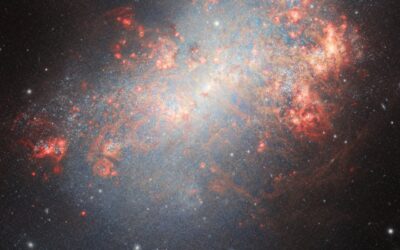 Gemini North celebrates its 25th birthday with a glorious photo of NGC 4449