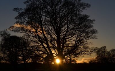 Say hello to summer skies