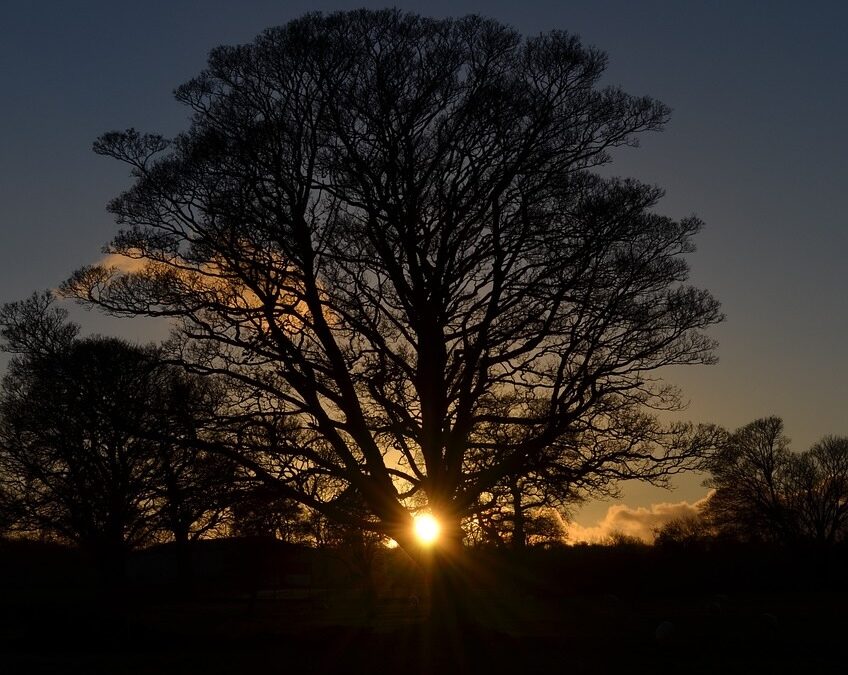 Say hello to summer skies