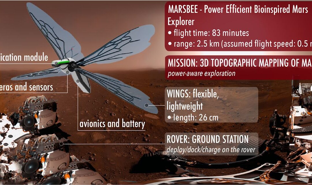 Could We Replace Ingenuity With a Swarm of Robotic Bees?