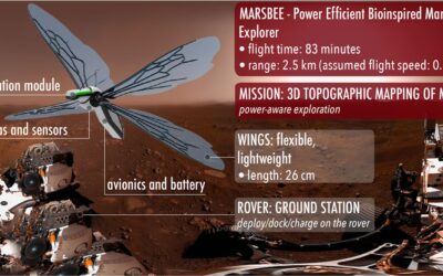 Could We Replace Ingenuity With a Swarm of Robotic Bees?