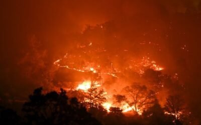 ‘The last 12 months have broken records like never before’: Earth exceeds 1.5 C warming every month for entire year